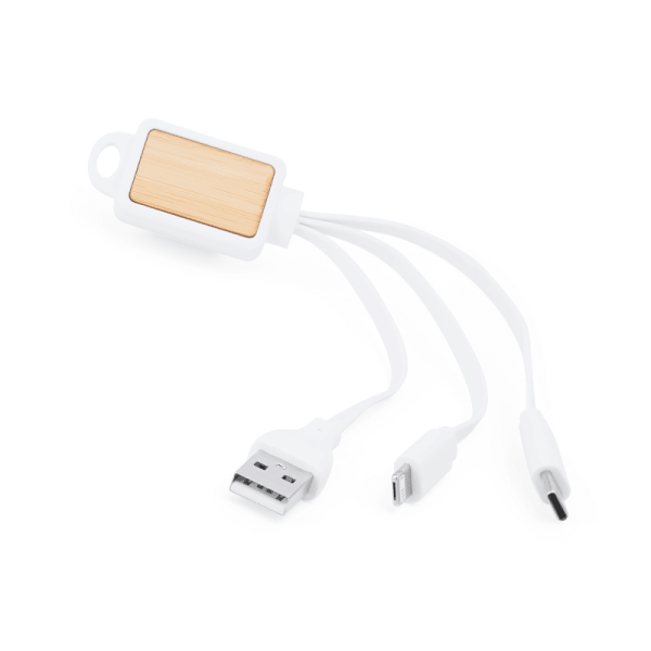 Câble chargeur 3 en 1 ASTRO